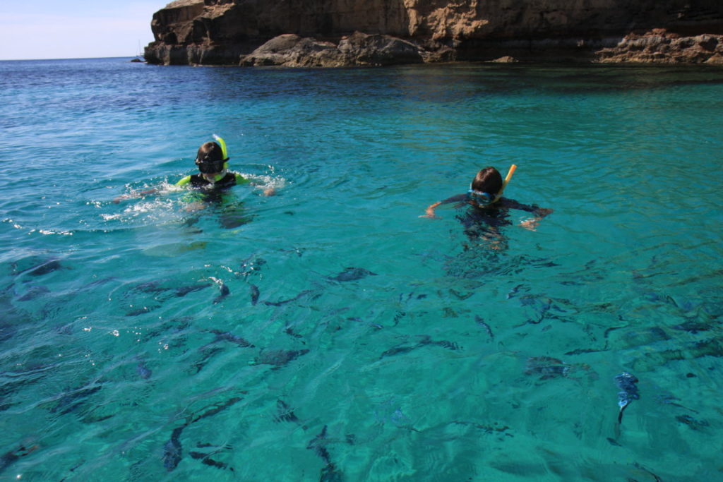 Personas disfrutando de snorkeling en el mar