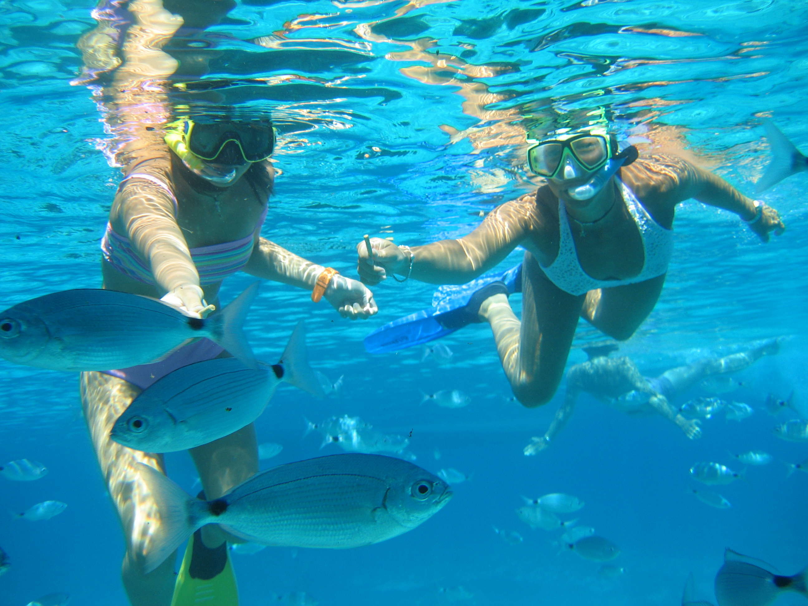 Grupo preparándose para snorkeling